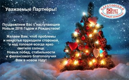 С Новым 2016 Годом!